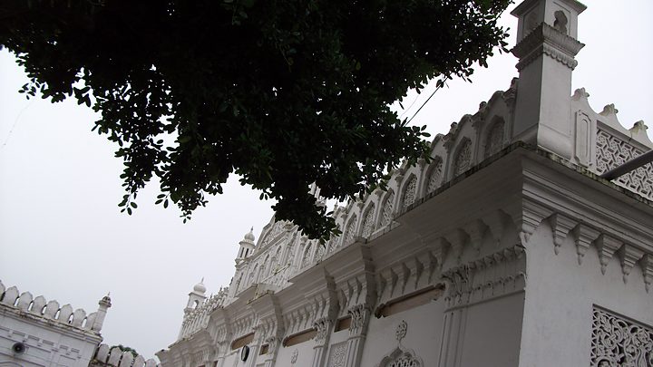 Minaret rising behind the old neem tree
